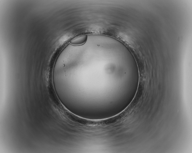 X0000086940679200704301137