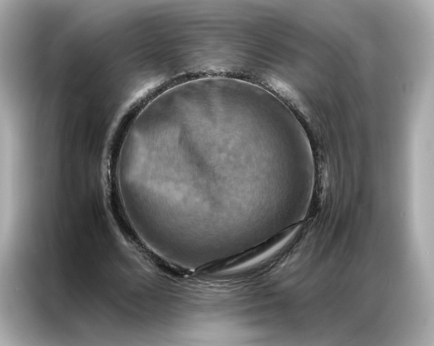 X0000086940680200704301137