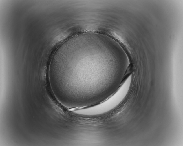 X0000086940681200704301137