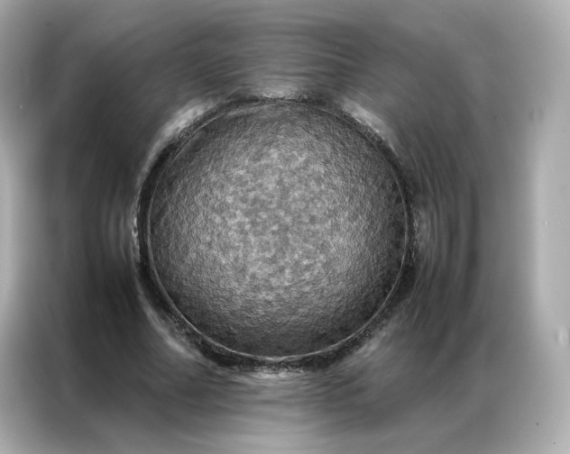 X0000086940682200704301137