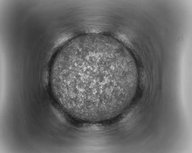 X0000086940683200704301137