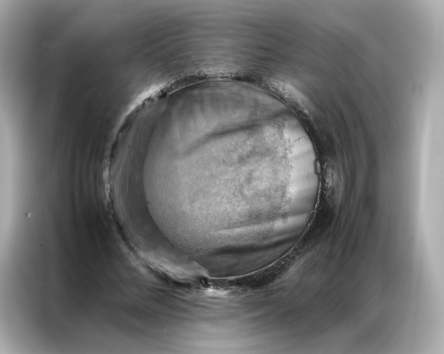 X0000086940684200704301137