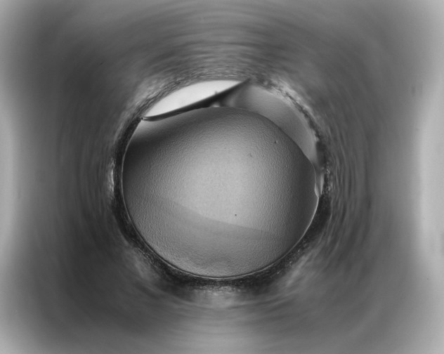 X0000086940685200704301137