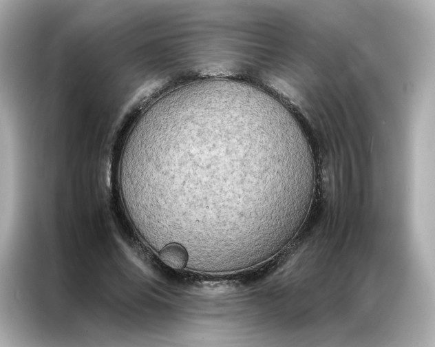 X0000086940686200704301137