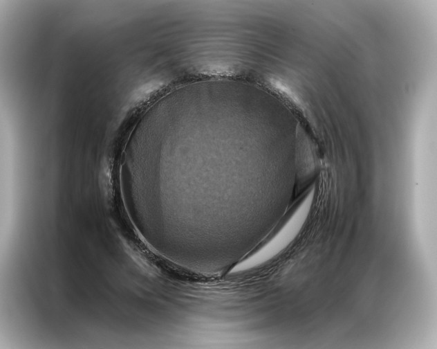 X0000086940688200704301137