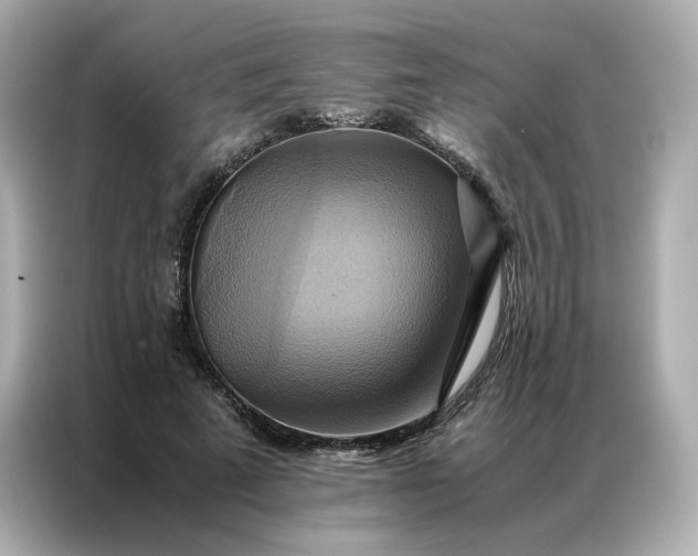 X0000086940689200704301137