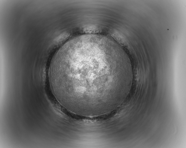 X0000086940690200704301137