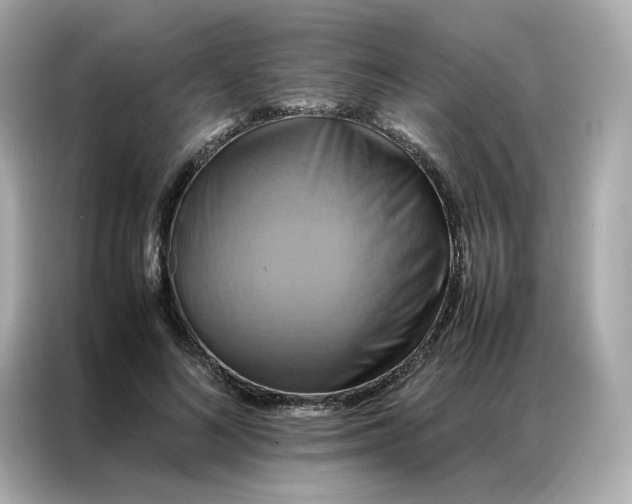 X0000086940692200704301137