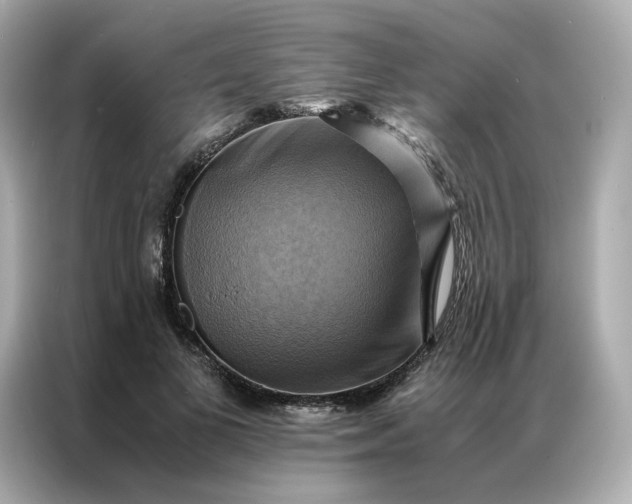 X0000086940693200704301137