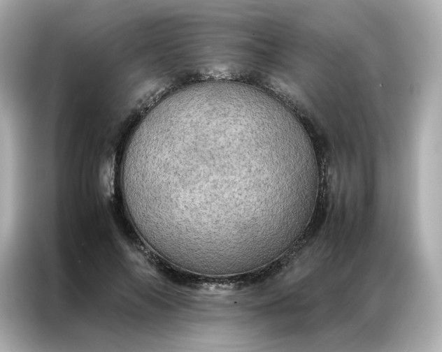 X0000086940694200704301137