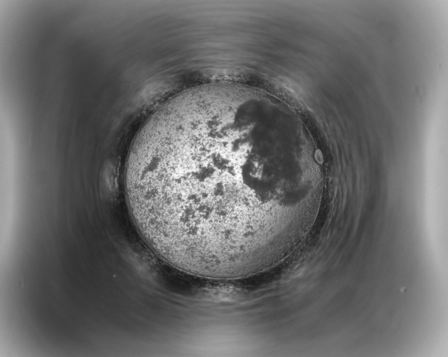 X0000086940695200704301137