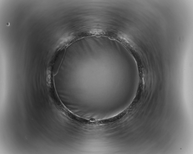 X0000086940696200704301137