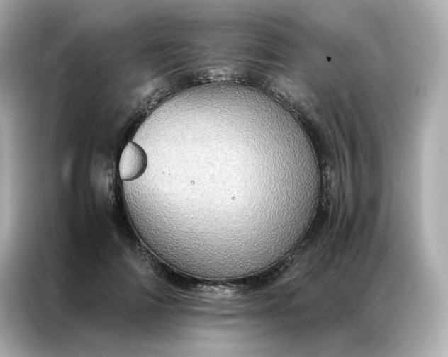 X0000086940698200704301137