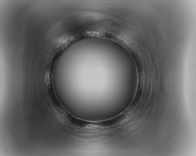 X0000086940699200704301137