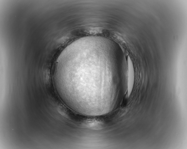 X0000086940704200704301137