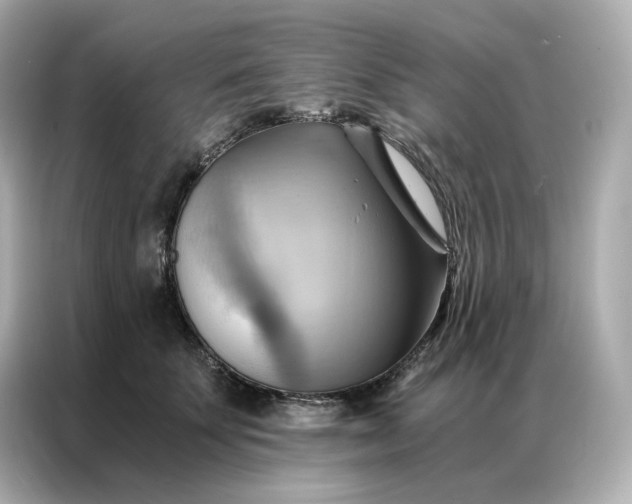 X0000086940707200704301137