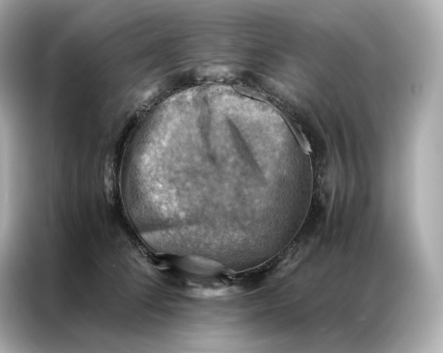X0000086940708200704301137