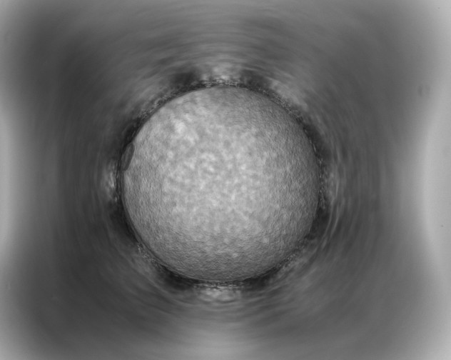 X0000086940709200704301137