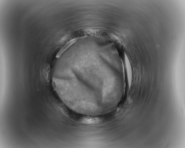 X0000086940712200704301137