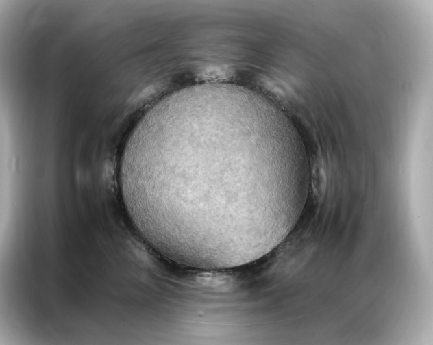 X0000086940714200704301137