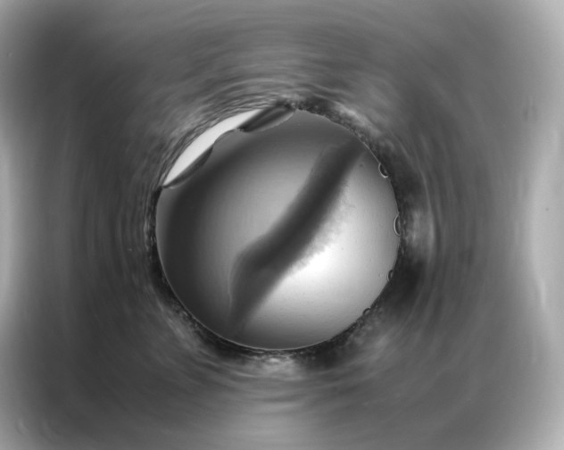 X0000086940715200704301137