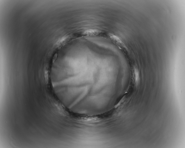 X0000086940716200704301137