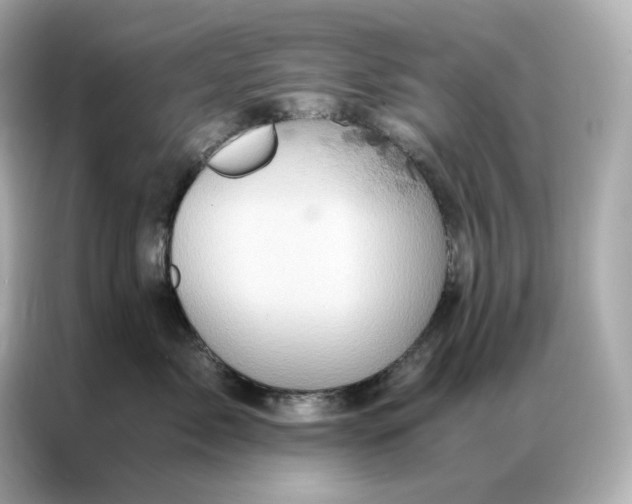 X0000086940717200704301137