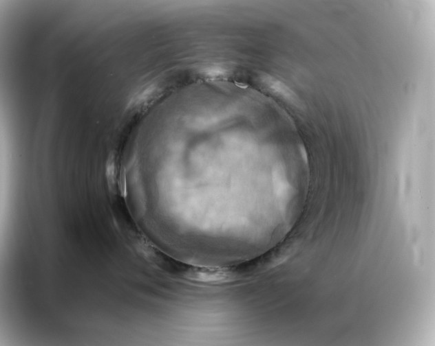 X0000086940720200704301137