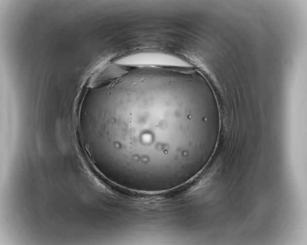 X0000086940721200704301136