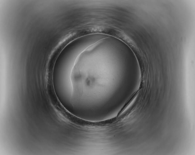 X0000086940722200704301136