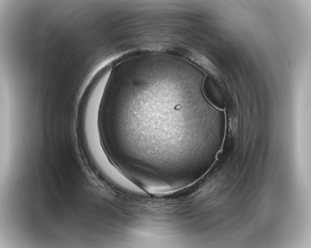 X0000086940724200704301136