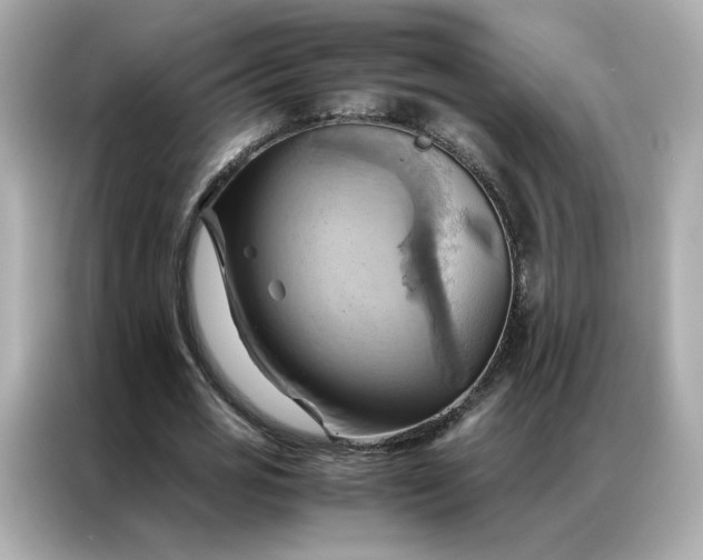 X0000086940725200704301136