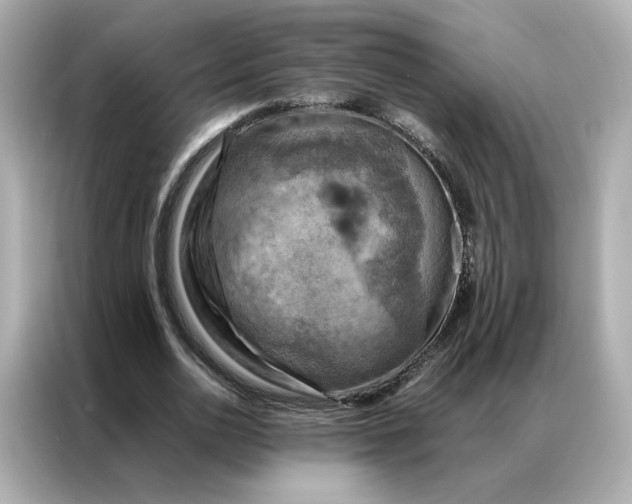 X0000086940726200704301136