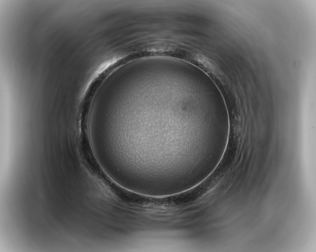 X0000086940727200704301136
