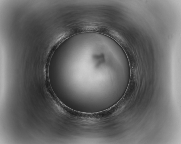 X0000086940729200704301136