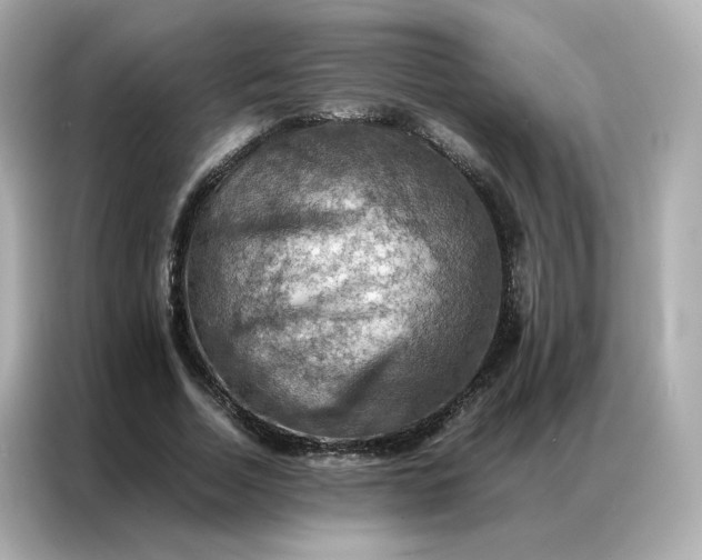 X0000086940730200704301136