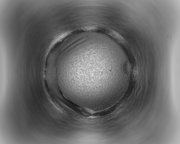 X0000086940732200704301136