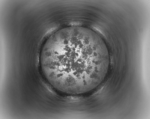 X0000086940733200704301136