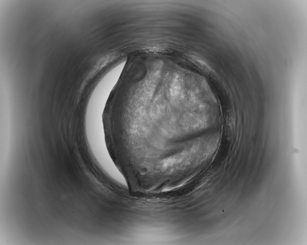 X0000086940734200704301137