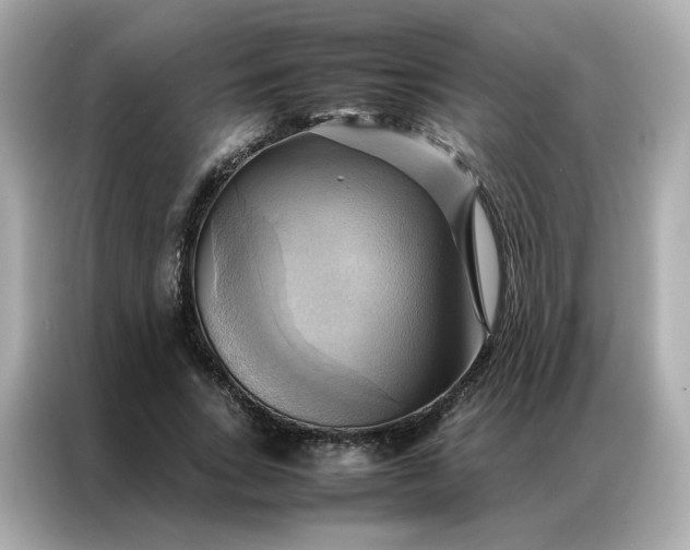 X0000086940735200704301137