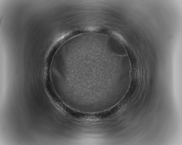 X0000086940736200704301137