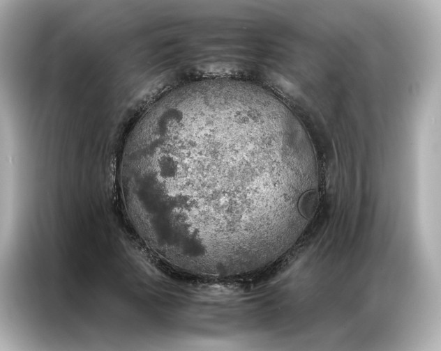 X0000086940737200704301137