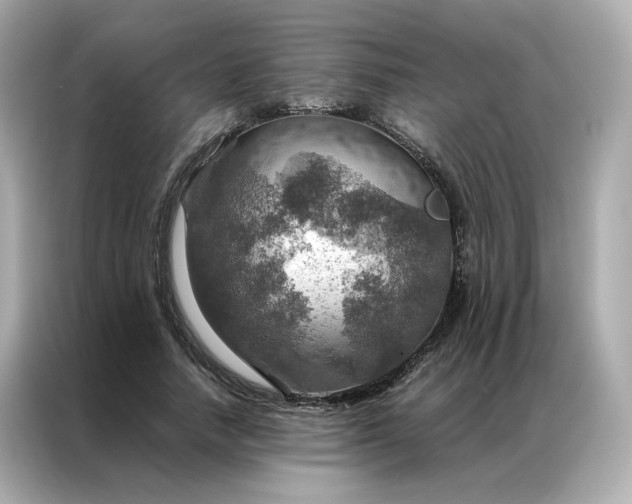 X0000086940738200704301137