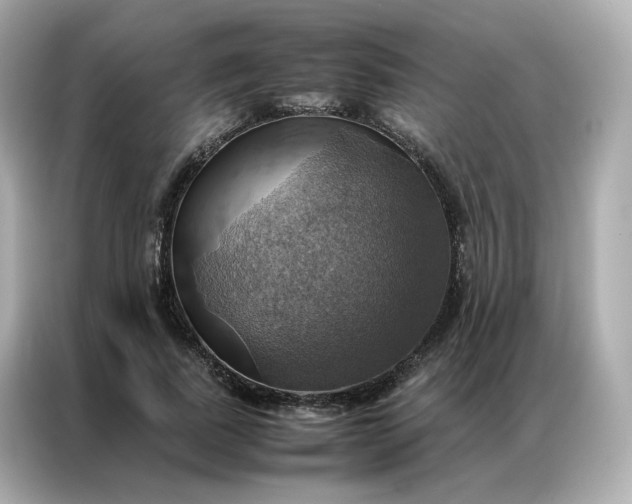 X0000086940739200704301137