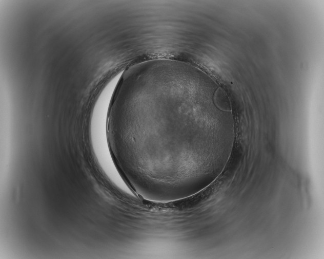 X0000086940742200704301137