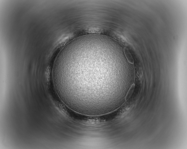 X0000086940744200704301137
