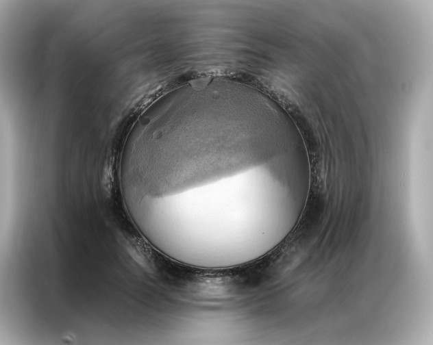 X0000086940746200704301137