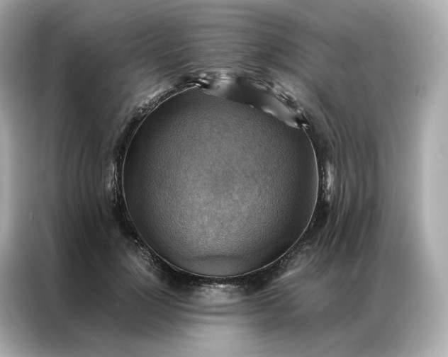 X0000086940748200704301137