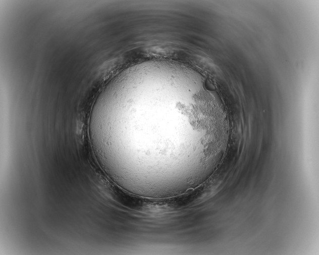 X0000086940749200704301137