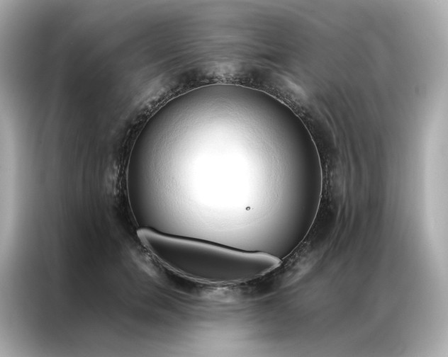 X0000086940750200704301137